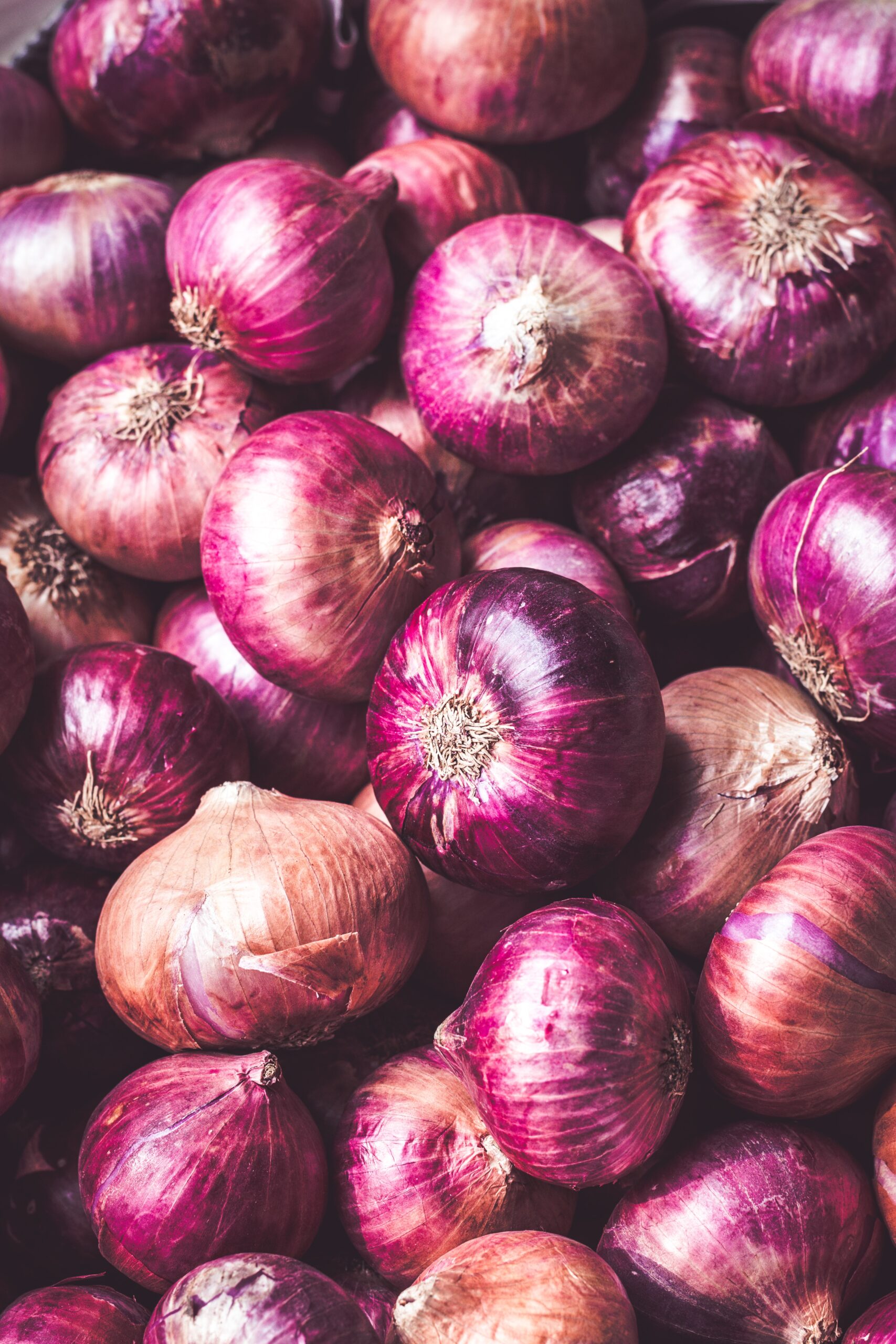 From Seed to Harvest: Understanding the Growing Stages of Onions
